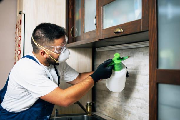 Best Pest Inspection Near Me  in The Pinery, CO