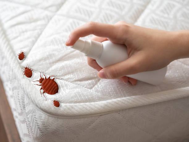 Best Pest Inspection Near Me  in The Pinery, CO